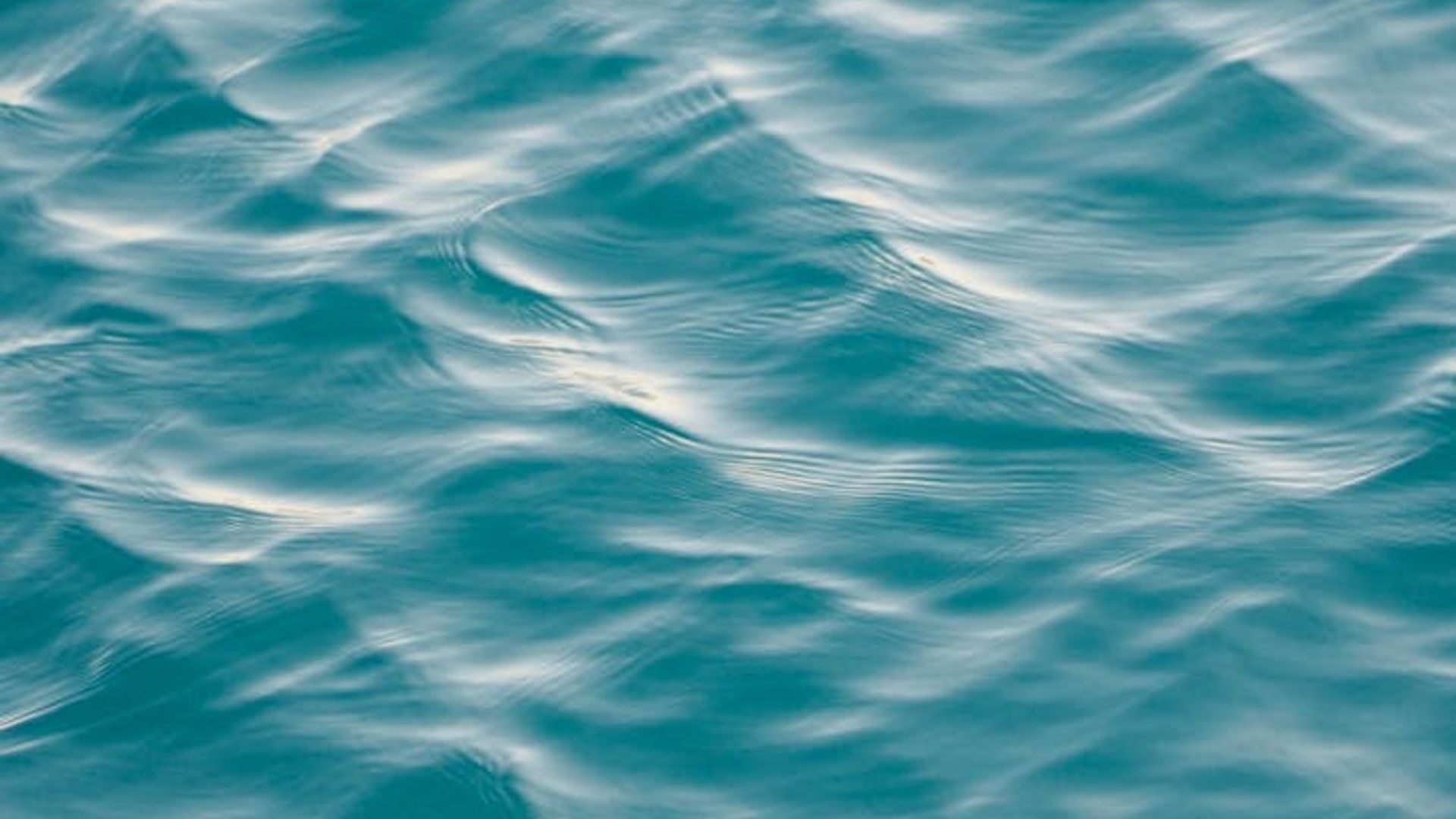 Abstract serene background with soft violet light waves.